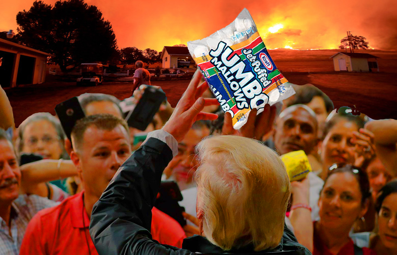 Trump marshmallow
