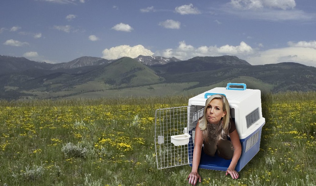 Kirstjen Nielsen in cage