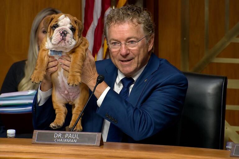 Congress Demands Fauci Explain Why Puppies Are So Cute
